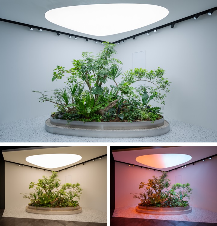 リトリートゾーンでは、本物の植物を人工光のみで育成している（画像上：朝のシーン、画像下左：午後のシーン、画像下右：植物育成モード）