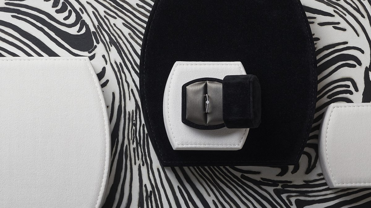 CASE COLLECTION -MANI-